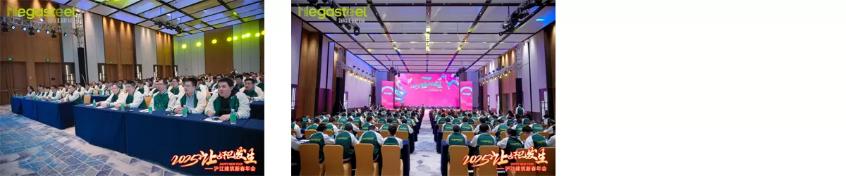 2025 MAKE DREAMS BLOSSOM INTO REALITY | MEGASTEEL SPRING FESTIVAL ANNUAL PARTY 2025 MAKE DREAMS BLOSSOM INTO REALITY | MEGASTEEL SPRING FESTIVAL ANNUAL PARTY